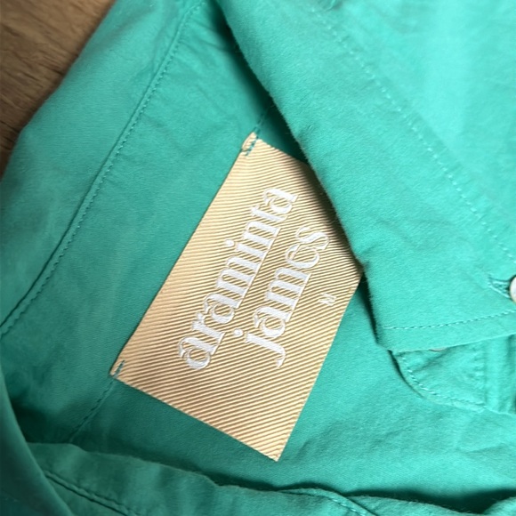 Araminta James euc Anthropologie teal blue seafoam green button down blouse top - Picture 4 of 7